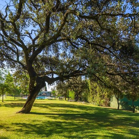 Crisol Jardines De Cordoba Ξενοδοχείο Εξωτερικό φωτογραφία