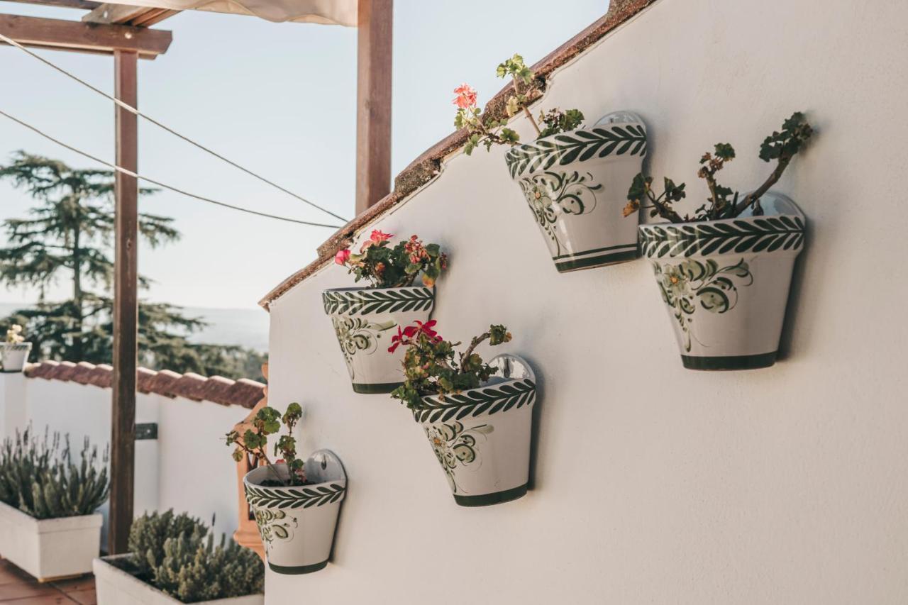 Crisol Jardines De Cordoba Ξενοδοχείο Εξωτερικό φωτογραφία