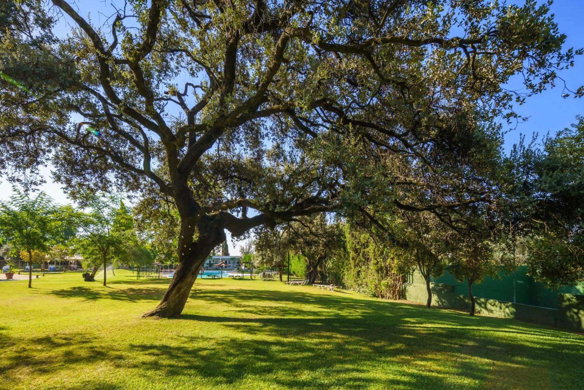 Crisol Jardines De Cordoba Ξενοδοχείο Εξωτερικό φωτογραφία